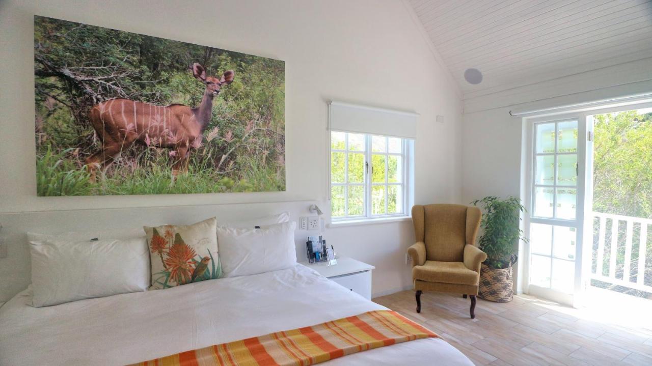 Thelab Cape Town Hotel Hout Bay Kültér fotó