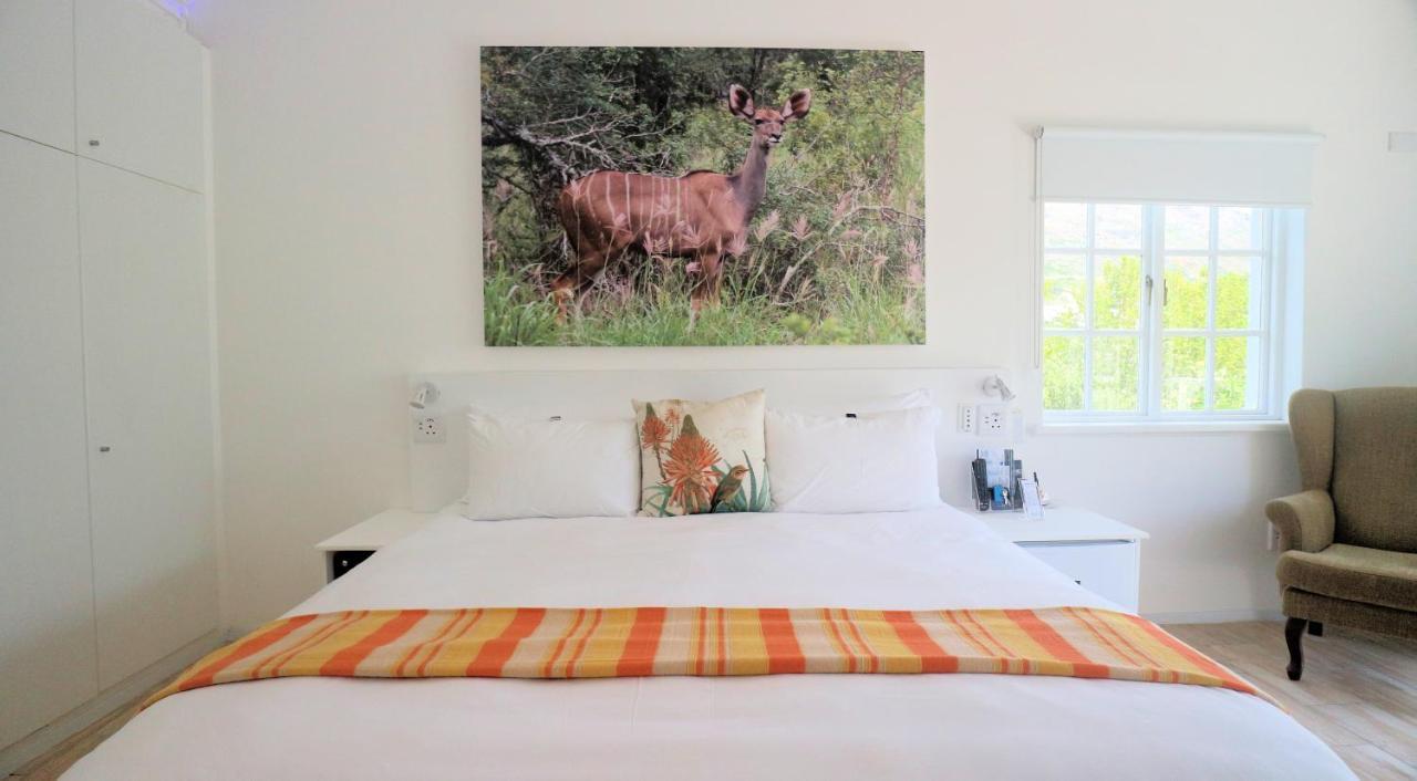 Thelab Cape Town Hotel Hout Bay Kültér fotó